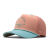 Peach Nectar